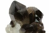 Dark Smoky Quartz Crystal Cluster - Brazil #84849-2